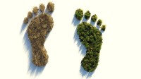 ecological-footprint-4123696_1920