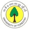 Logo_UFES_Yezin