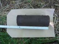 Bohrkern auf der Versuchsfläche Schönholz, Bodentiefe 0-23,5 cm