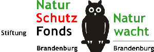 logo-stiftung-nw