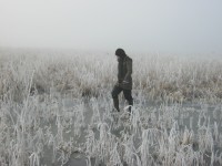 Die feuchte Versuchsfläche Biesenbrow (Landkreis Uckermark) ist im Winter 2011/12 gefroren
