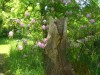 Holzskulptur mit Rhododendron